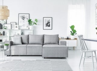 Jasny salon z roślinami