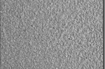 555277_330554993721366_174389345_n