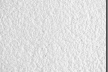 67409_330555120388020_634496103_n