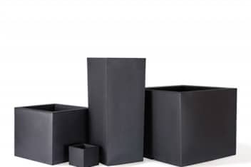 cubotti_1