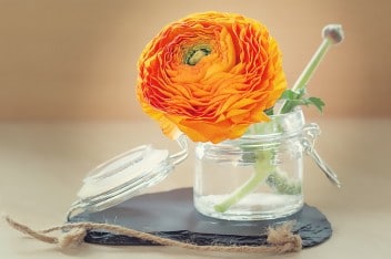 Dekoracja stołu: Kwiaty w słoikach