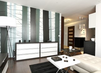Maly_pokoj_maly_salon (9)