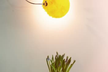 Wielkanoc. Modne inspiracje od Luminosfery