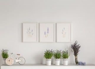 Flowers on cupboard against white wall with posters in minimal living room interior. Real photo