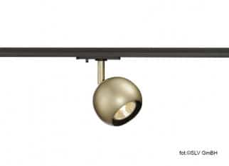 Złota_spotline_light_eye3