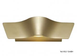 Złota_spotline_wave