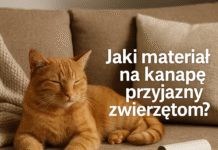 materiał na kanapę przyjazny kotu
