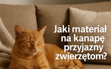 materiał na kanapę przyjazny kotu